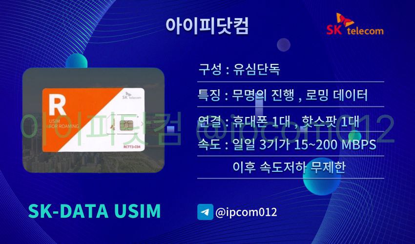 무제한 무약정 SK DATA USIM  